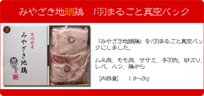 �݂₴���n���{�@1�H�܂邲�Ɛ^��p�b�N�i�M�t�g���j